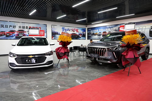 忻城汽車新地標(biāo)！青龍車行元旦盛大開(kāi)業(yè)，打造一站式汽車銷售綜合體